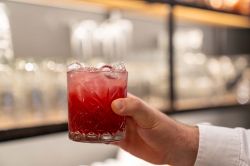 Ristorante Mio Speyer Leckere Italienische Gerichte In Der Altstadt Von Speyer Nr 029