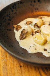 Gnocci Trueffel Restaurant Mio Speyer In Der Altstadt Fotograf Studio Sipz Tim Ebert